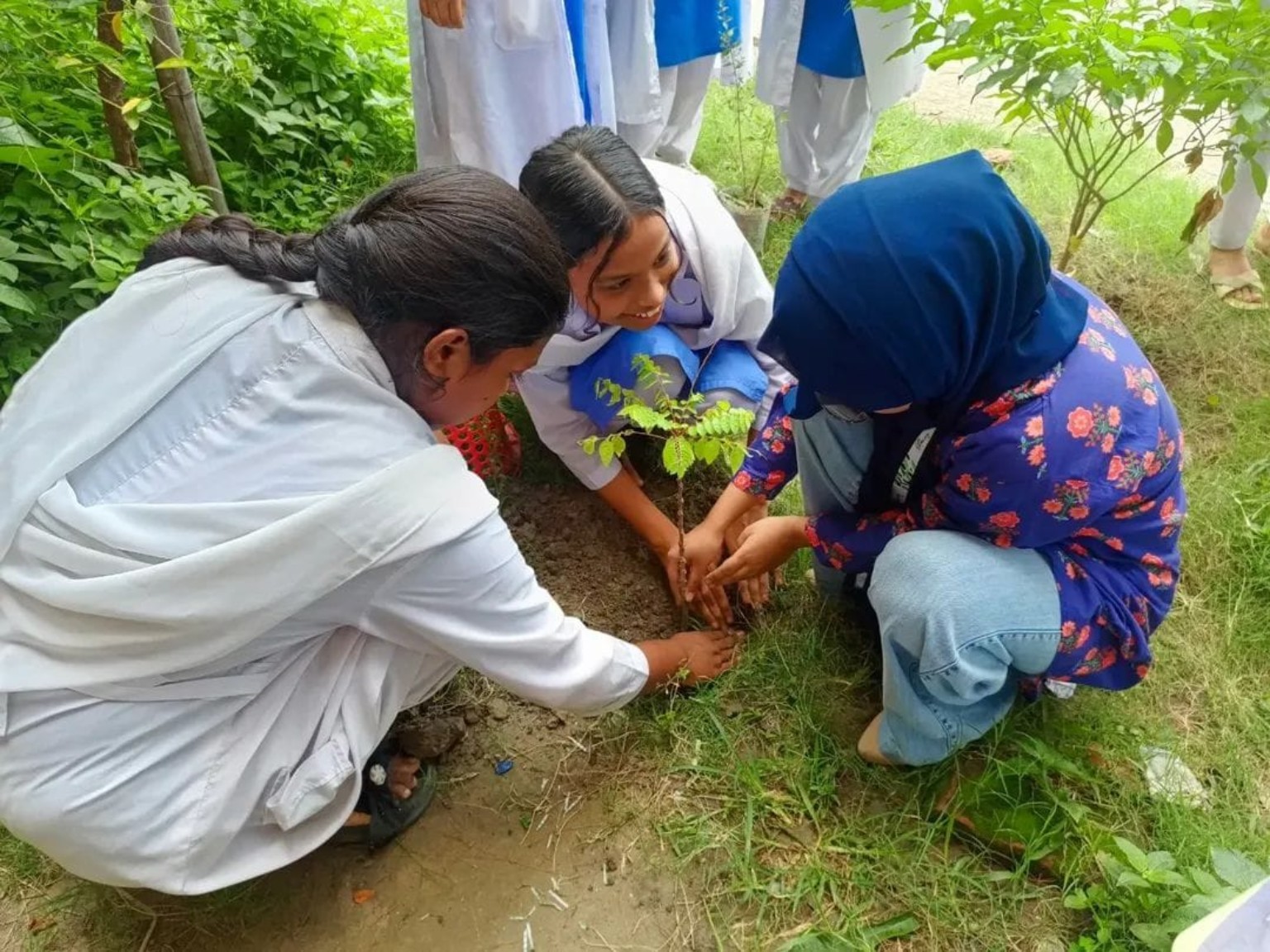 Planting For The Future at Fatullah Pilot High School