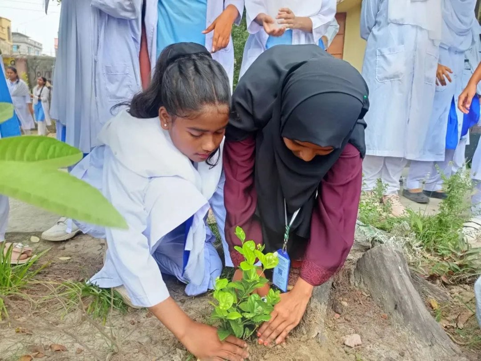 Planting For The Future at Fatullah Pilot High School