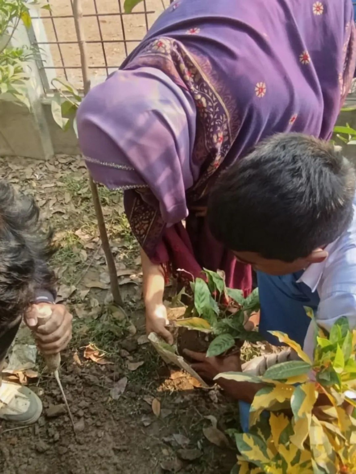 Planting For The Future at IET High School